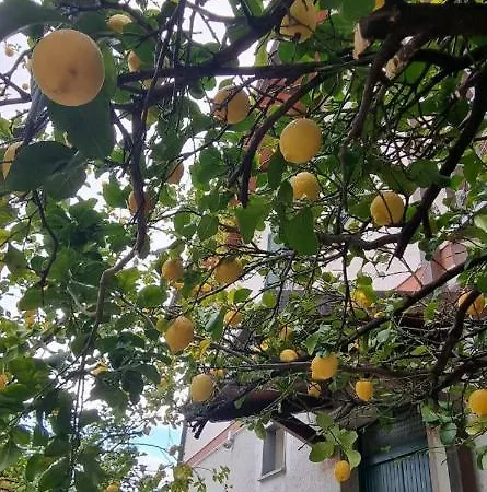 La Limonaia *