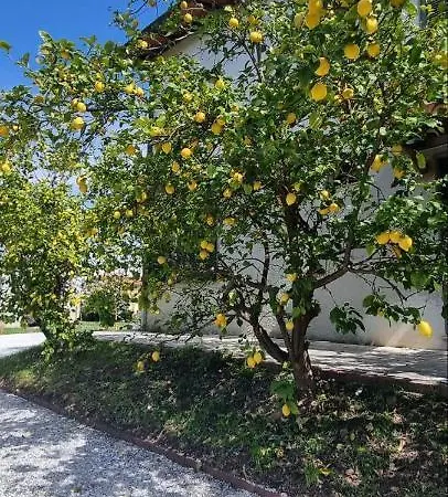 La Limonaia