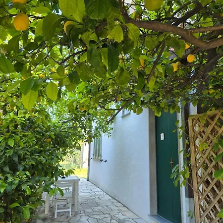 La Limonaia 公寓 *