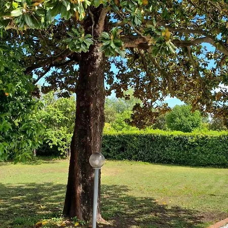 Appartement La Limonaia