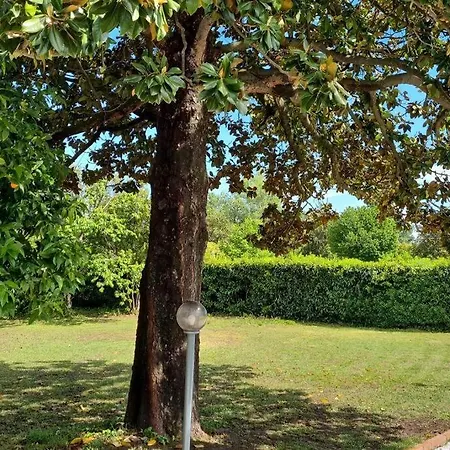 La Limonaia Appartamento Ameglia